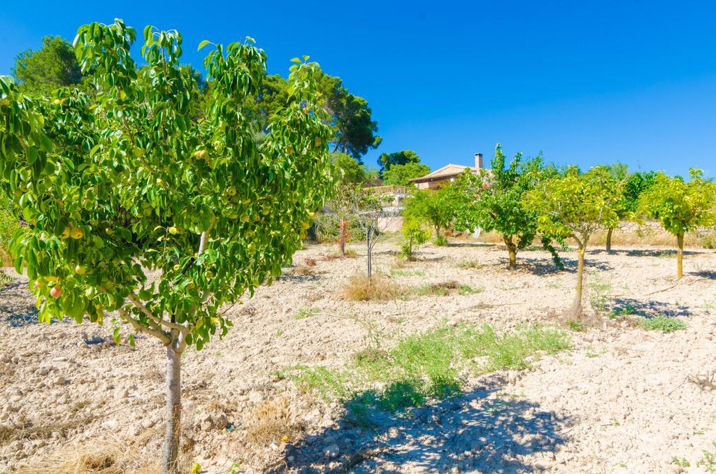 Villa S'aresta Den Rumbet