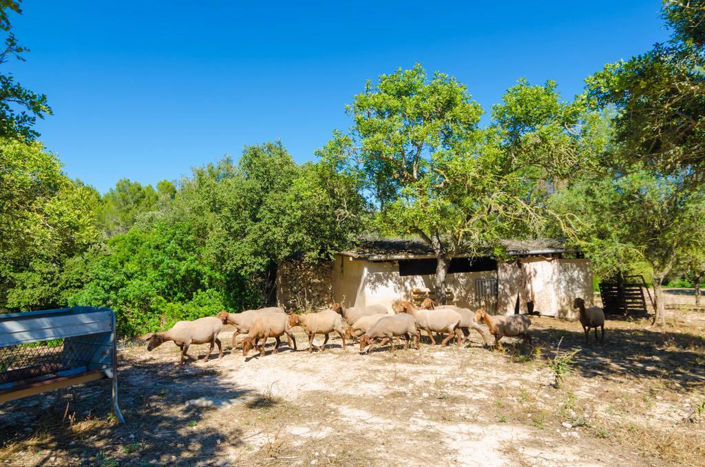 S'aresta Den Rumbet Villa Llucmajor (Mallorca)