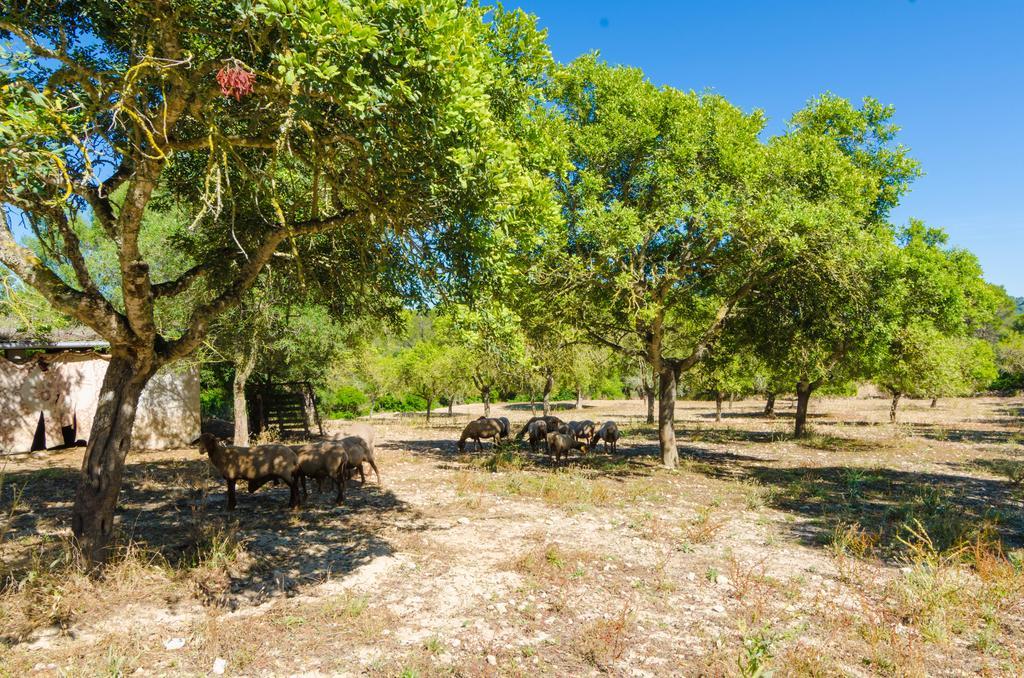 S'aresta Den Rumbet Villa *